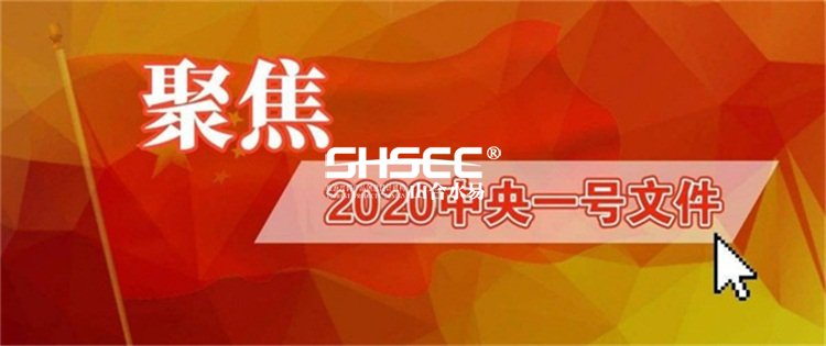 2020年中央一號(hào)文件,三農(nóng)問題