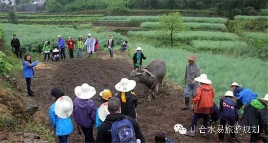 休閑農(nóng)業(yè)+文化，助力鄉(xiāng)村旅游“品味”升級!