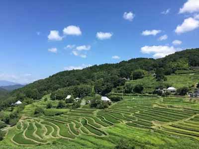 英田上山梯田