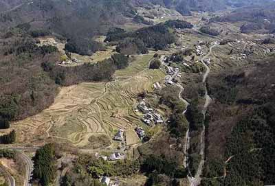 日本大叔進(jìn)深山5年，梯田恢復(fù)數(shù)量高達(dá)1600塊!