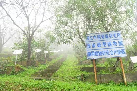 臺灣昆侖養(yǎng)生莊園