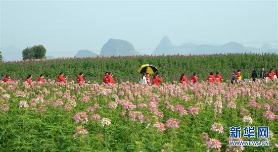 春節(jié)期間全國(guó)共接待游客3.44億人次，全域旅游引領(lǐng)旅游供給