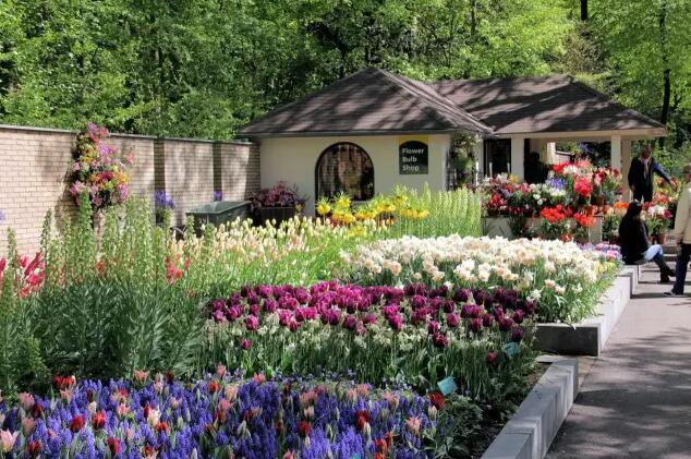 荷蘭庫肯霍夫公園——被譽為“世界上最美麗的春季公園”