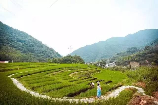 田園綜合體規(guī)劃,田園綜合體規(guī)劃,農(nóng)業(yè)旅游規(guī)劃